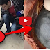 PENTERNAK ini Sembelih ayam , ternyata ada Benda Hitam Besar diDalamnya ! SETELAH DI PECAHKAN BENDA HITAM ITU PENTERNAK ITU TERKEJUT TEKELUAT SESUATU YANG ANEH