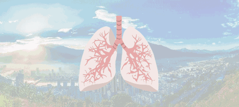每天7個簡單動作，改善肺功能，全身輕鬆(呼吸操)
