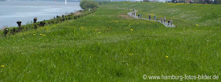 Ausflug mit der Familie ins Alte Land Hamburg Ausflug mit Familie und Kindern, Fahrradtour im Alten Land