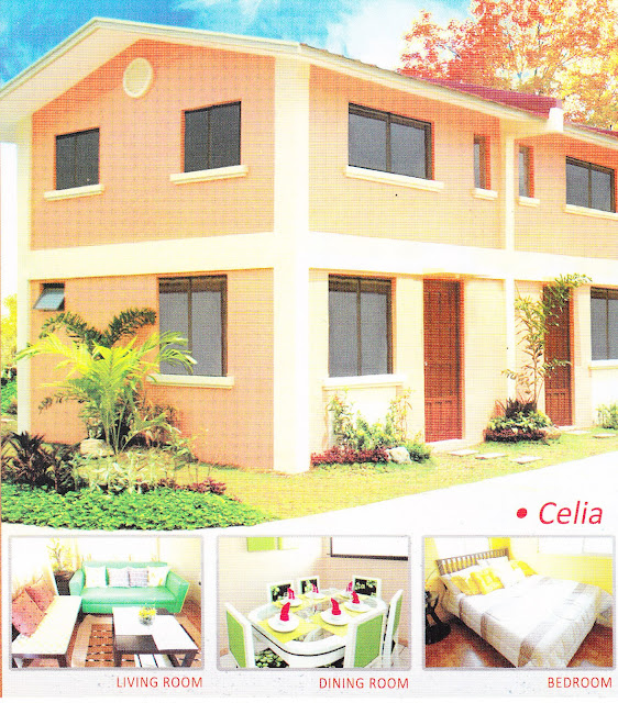 Wellington Place house and lot for sale cavite