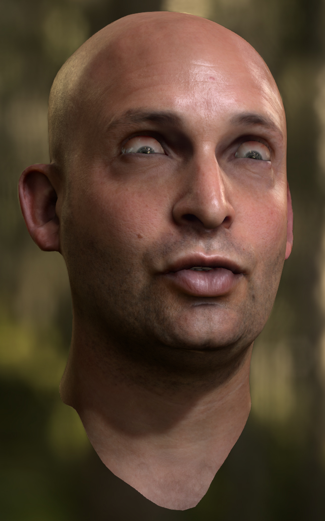 TechXamine NVIDIA Facial Tech Demo offers realism and a true meme face!