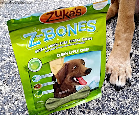 The Lapdogs Love Zuke's Z-Bones! #ChewyInfluencer #NationalPetOralHealthCareMonth #DentalTreats ©LapdogCreations