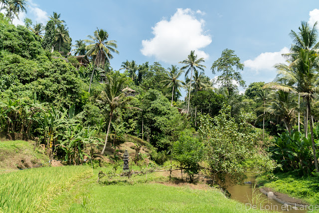 Vallée de la Sungaï Ayung - Ubud - Bali