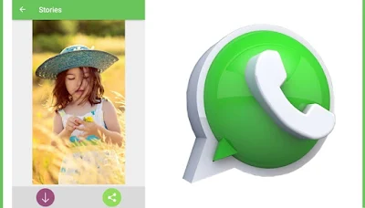 cara download story whatsapp