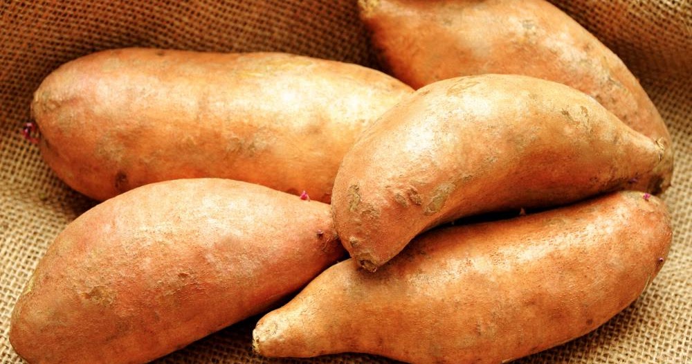 Export Portal Nigeria Starts Yams Exports to Strengthen Economy