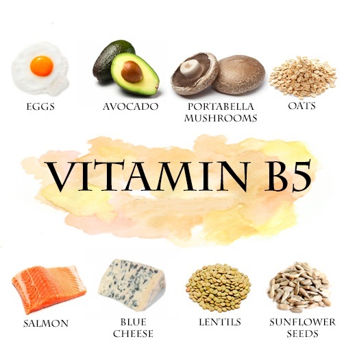 Vitamin B4 Sources