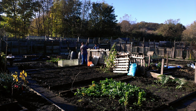 allotment blog