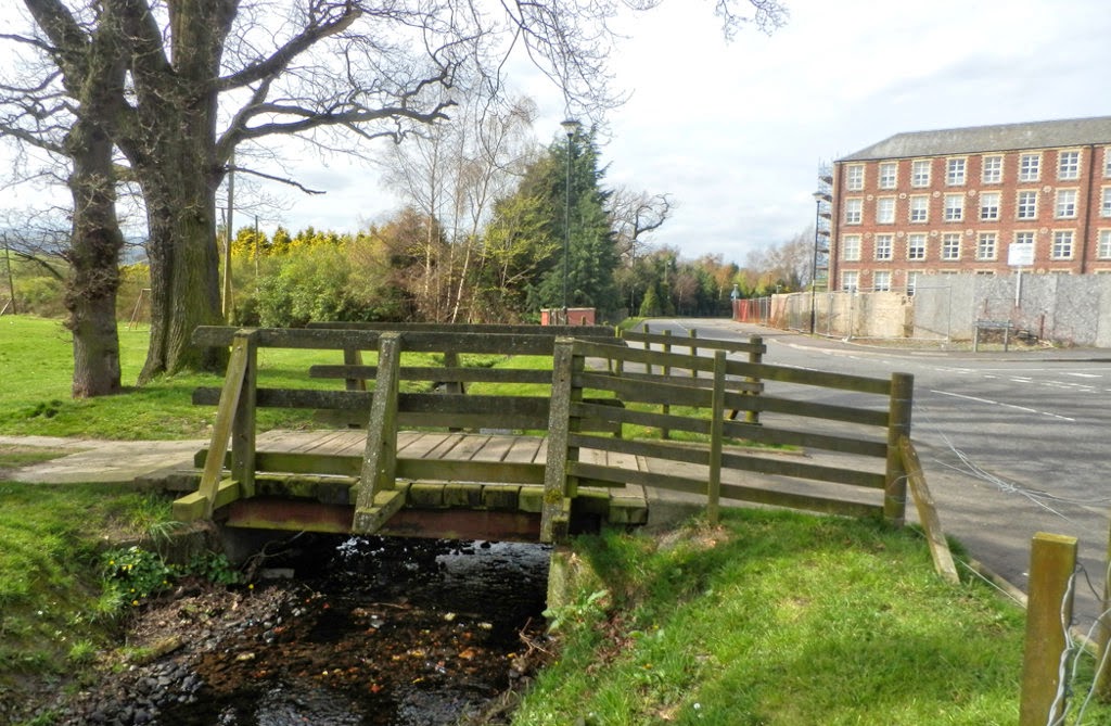 My Daily Walk Cambusbarron