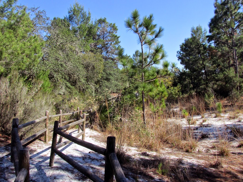 Amusement Park... Stuff Shadow Bay Park