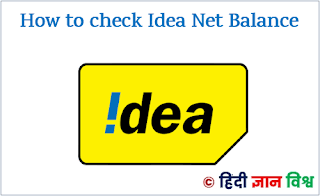 check idea net balance