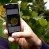 This New App Instantly Identifies Plants And Flowers, And It’s Awesome