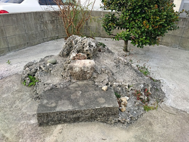 国軸 国軸の写真
