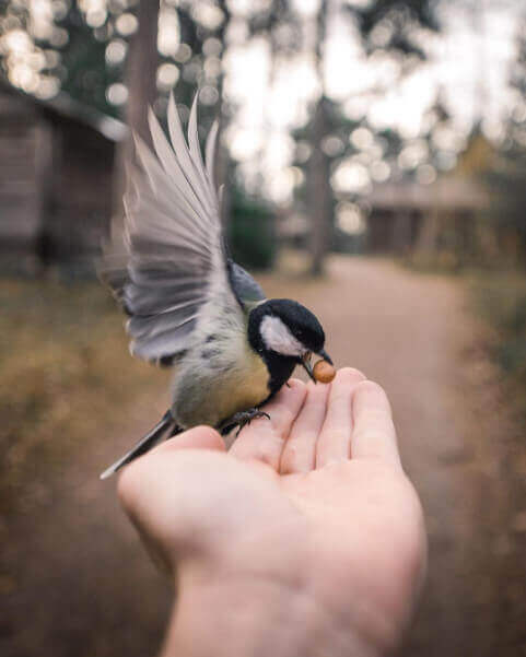 Konsta Punkka Fotografía Konsta Punkka Fotografía