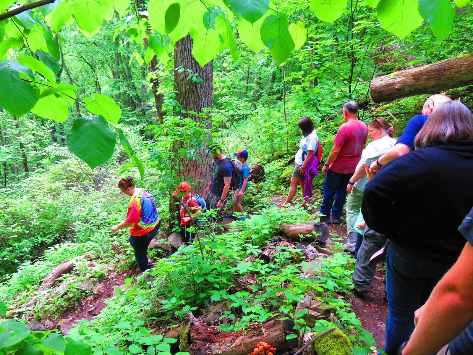 Tales From The Wood Booger Appalachian Trail Days Damascus 2016