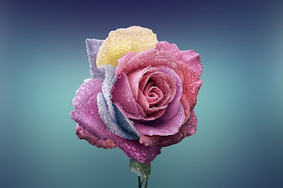 Agar Hubungan Tetap Romantis Dan Bertahan Lama, Lakukan Tips Berikut Ini Agar Hubungan Tetap Romantis Dan Bertahan Lama, Lakukan Tips Berikut Ini