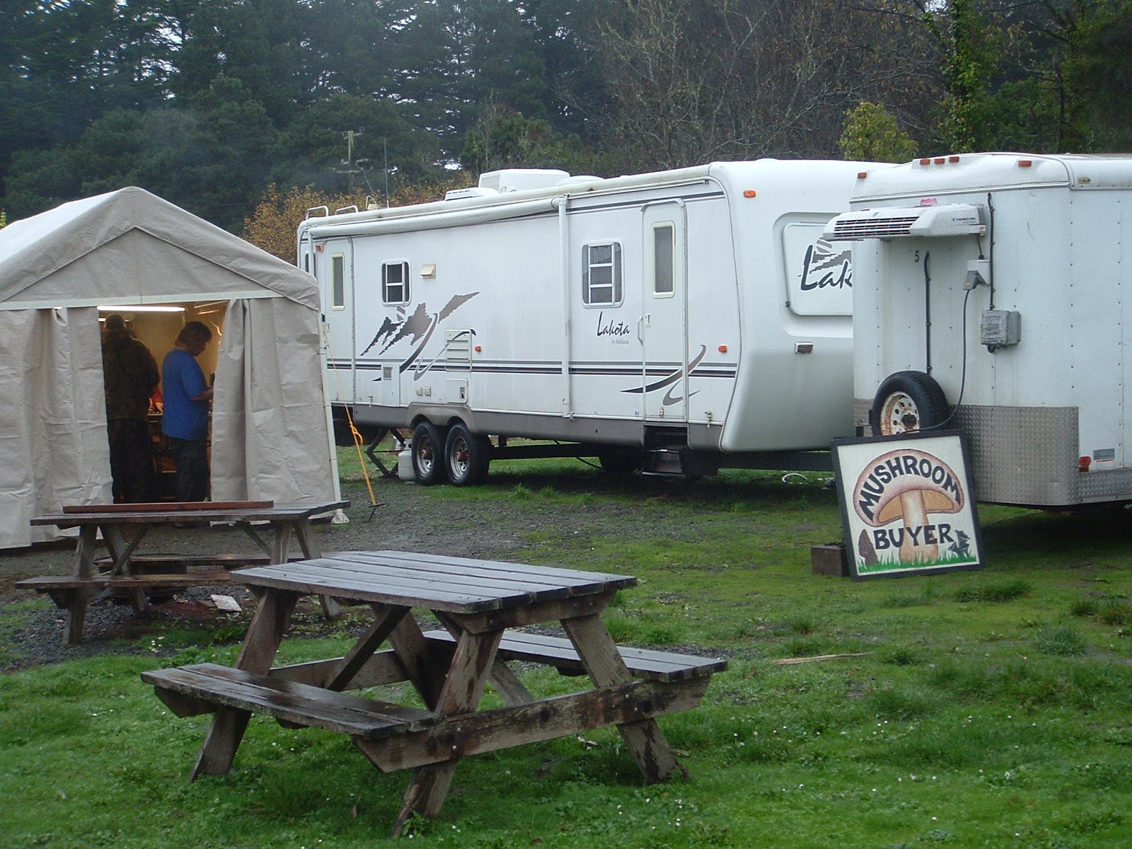 Hidden Pines RV Campground Fort Bragg Fort Bragg RV Park November