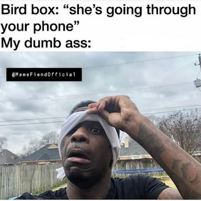 Why are Bird Box memes so popular? It’s complicated. bird box memes.