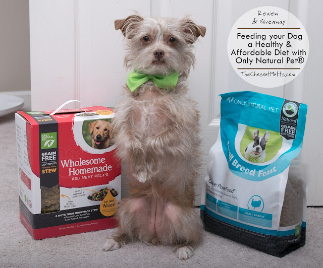 Review & Giveaway: Feeding your Dog a Healthy & Affordable Diet with Only Natural Pet®