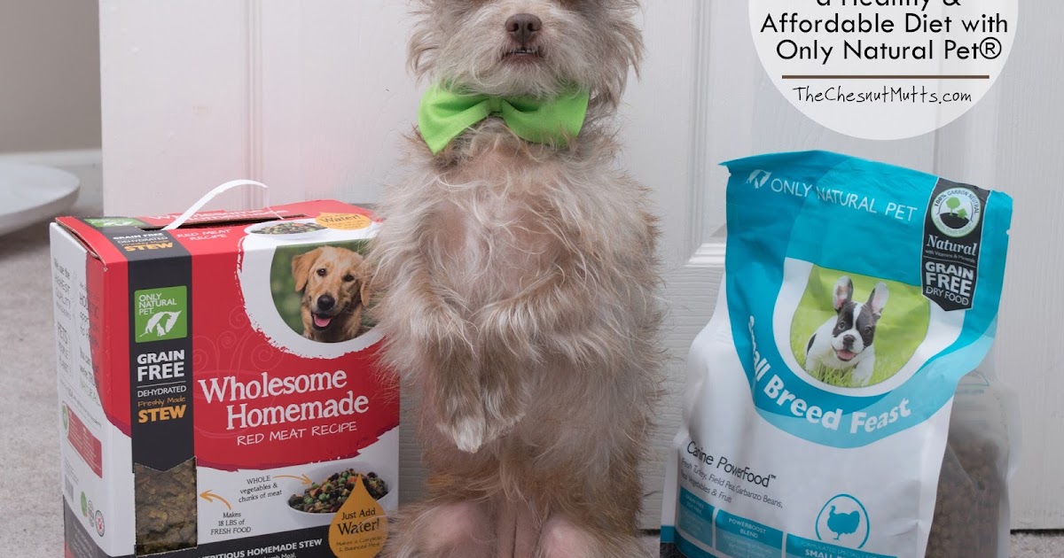 Review & Giveaway Feeding your Dog a Healthy & Affordable Diet with