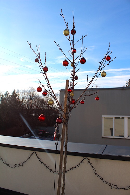 weihnachtlicher Obstbaum