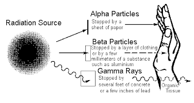 can radiation be passed through genes