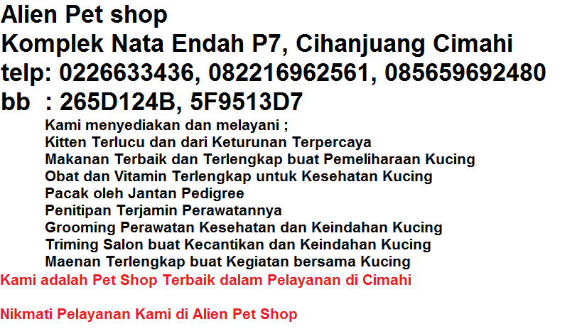 Alien Cat Pet Shop Cimahi
