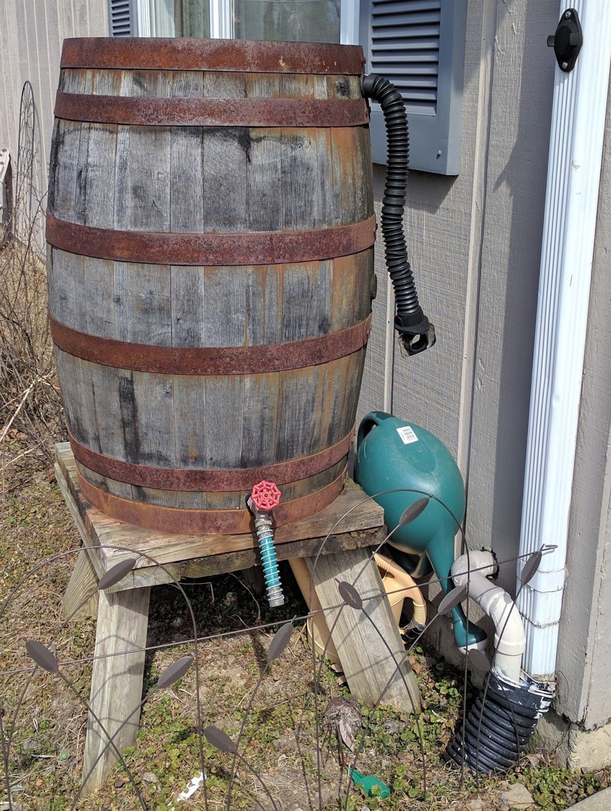 Whiskey Barrel Rain Barrel