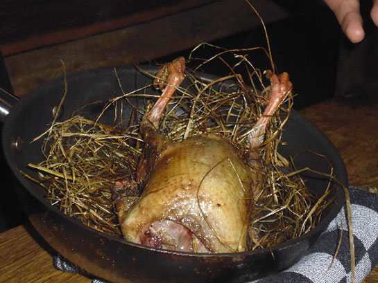 Güvercin Eti Güvercin Oyun Kuşları