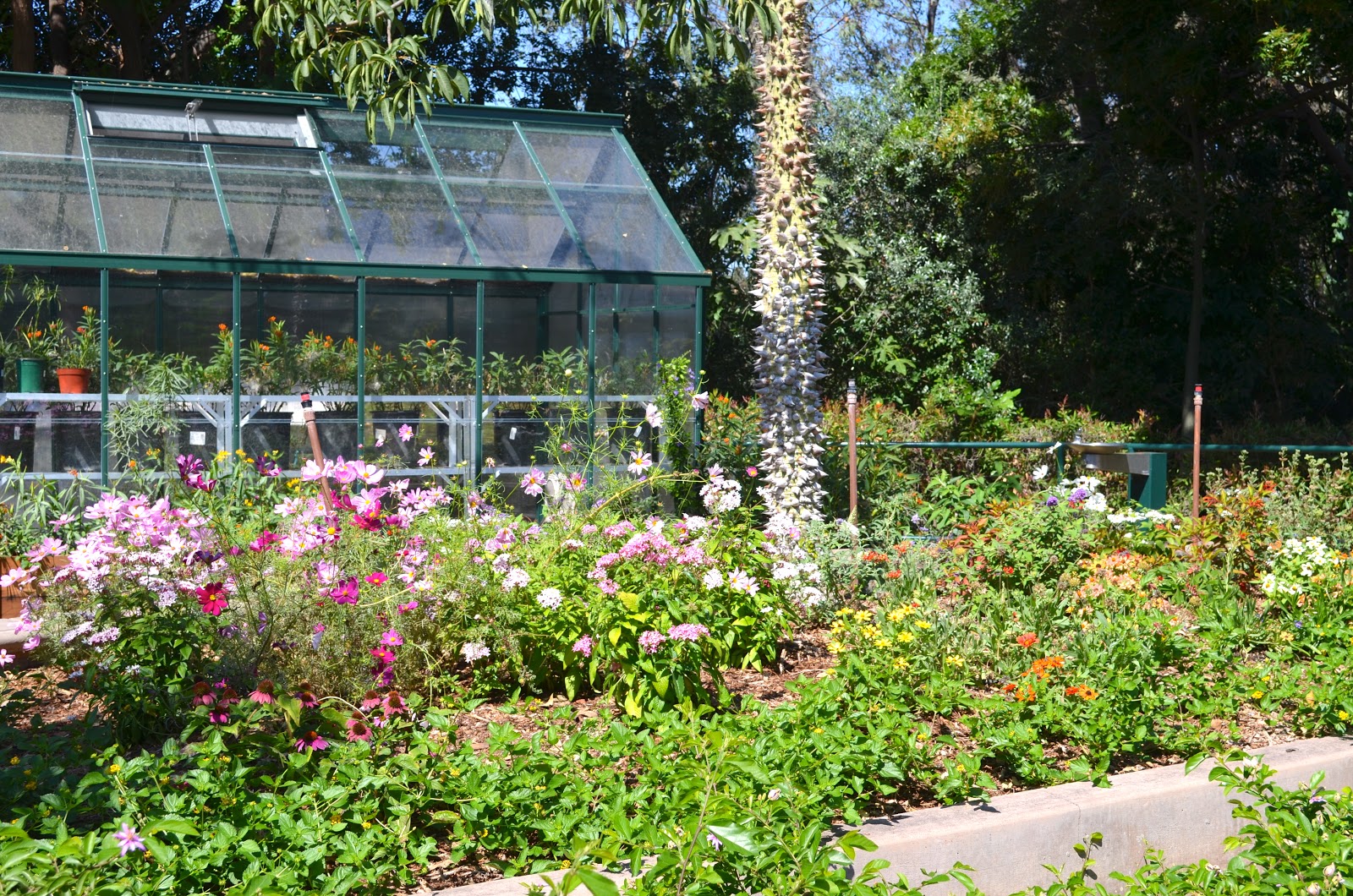 Milkweed Gardens Places Pollinator Garden, San Diego Zoo