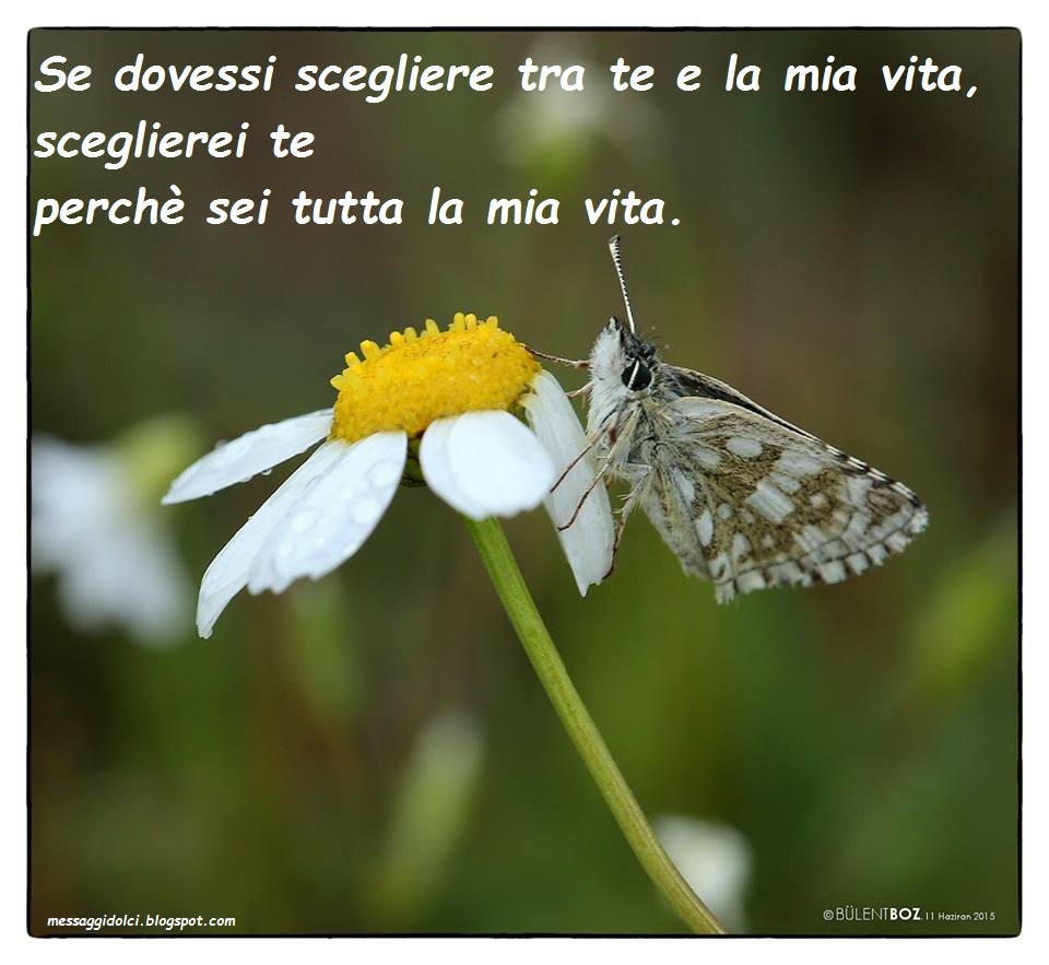 Ed Io Sceglierei Te In Cento Vite