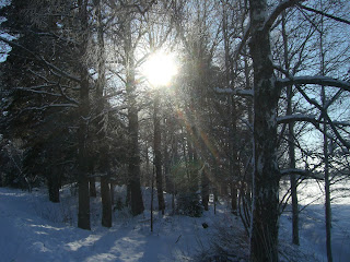 Vinterpromenad%2Bp%25C3%25A5%2Bmin%2Blunch%2B%25282%2529 - Bra medicin mot min förkylning