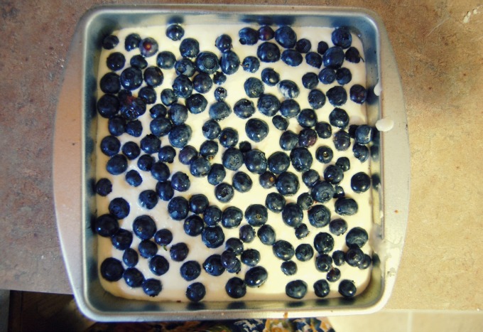 Lemon-Blueberry Cheesecake Bars | Organized Mess