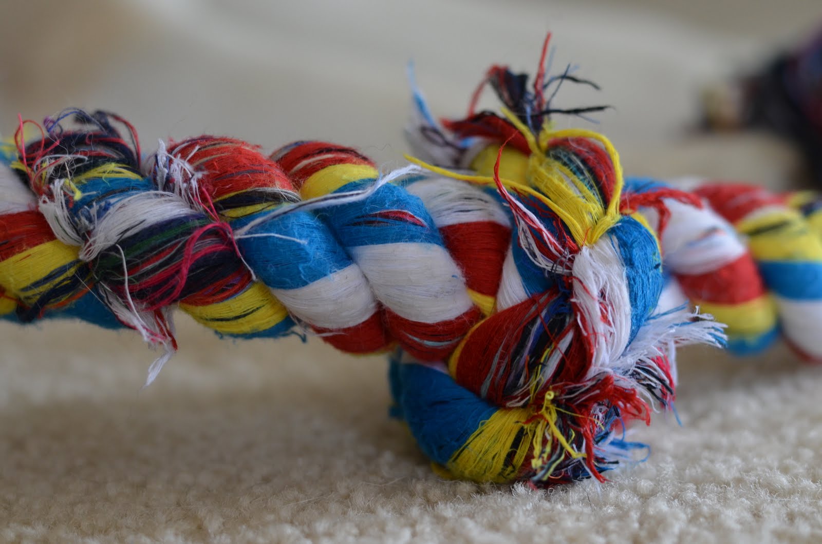 A Tale of Two Huskies: Multi-Colored Rope
