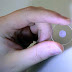 This small quartz coin can store up to 360 terabytes of data for 14 billion years