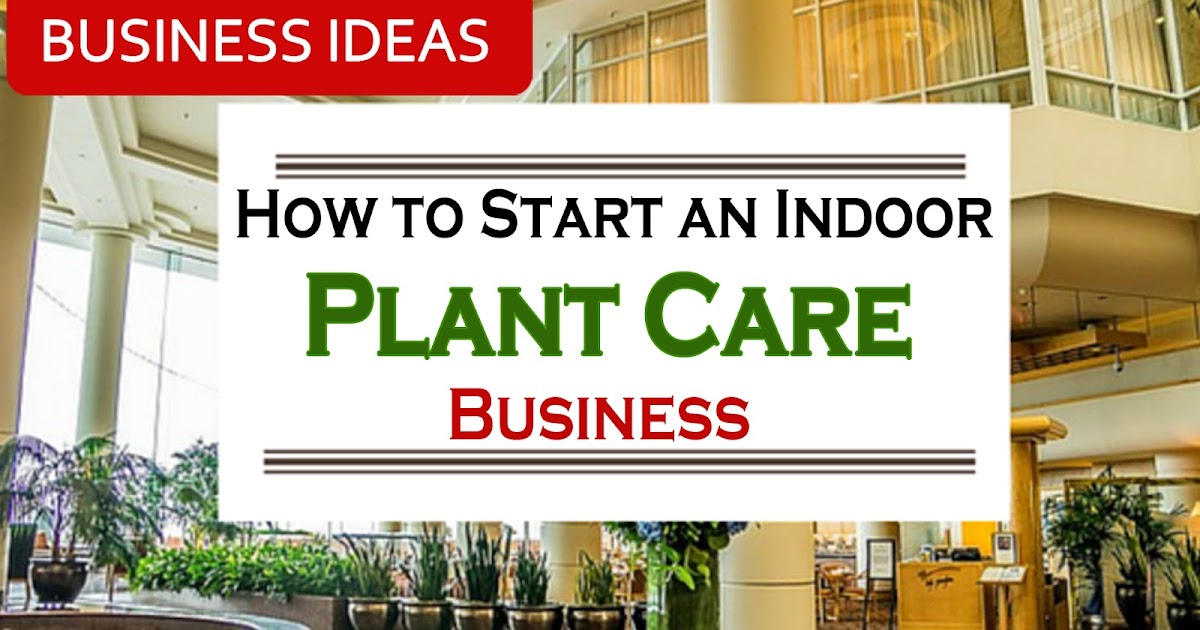 How to Start an Indoor Plant Care Business Easy Ideas
