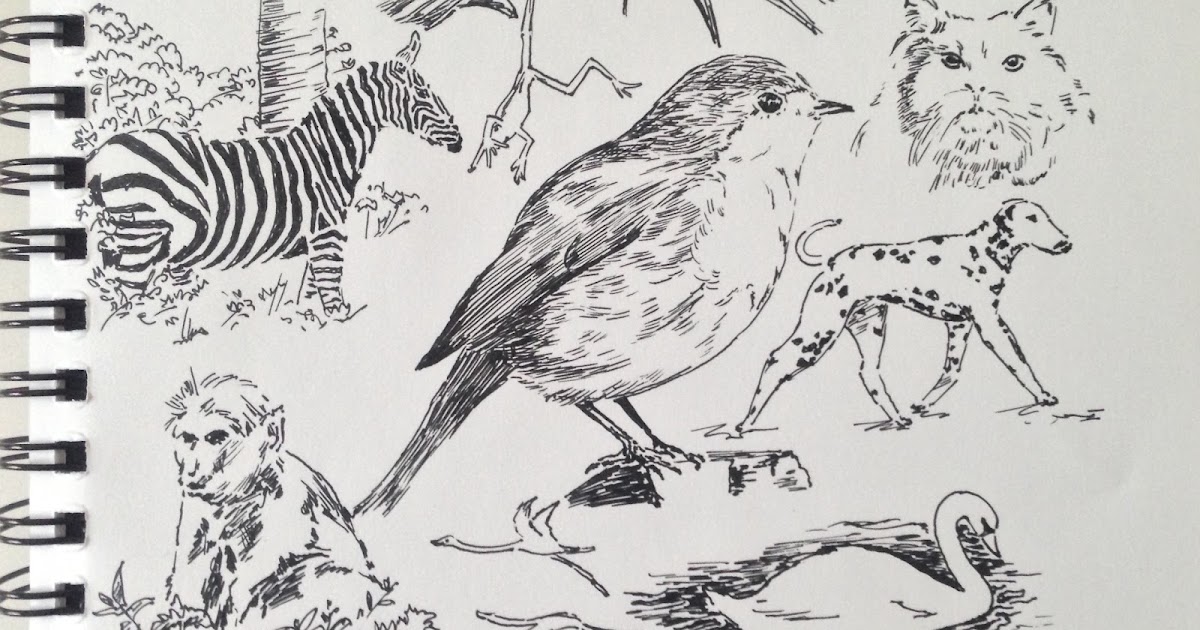 My Soul On Canvas మనః ఫలకం: Sketching - Animals and Birds...