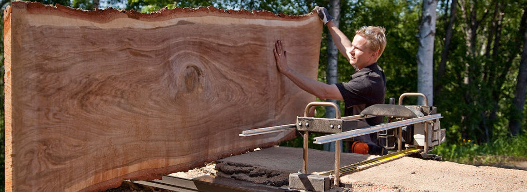 The Pro Cutter - The Comprehensive Chainsaw Buying Guide