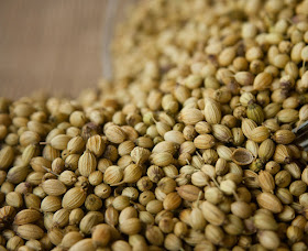 coriander-cilantro-seeds