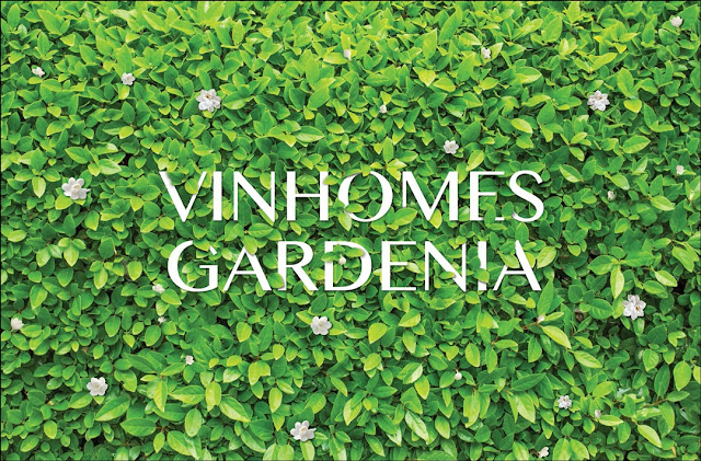 thi-truong-nha-dat-vinhomes-gardenia-vinhome-my-dinh-10