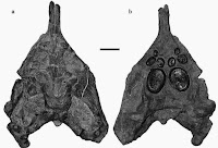 http://sciencythoughts.blogspot.co.uk/2015/01/a-new-placodont-specimen-from-late.html