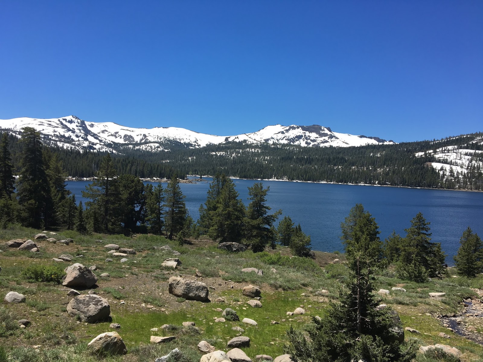 ice cream + french fries How to Adventure in Lake Tahoe with a Toddler