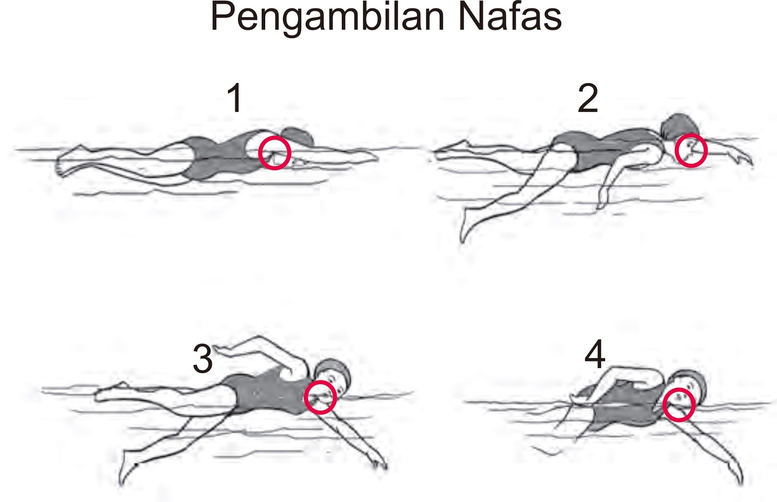 soal dan pembahasan MATEMATIKA tingkat SMP/MTs: Renang dan Loncat Indah