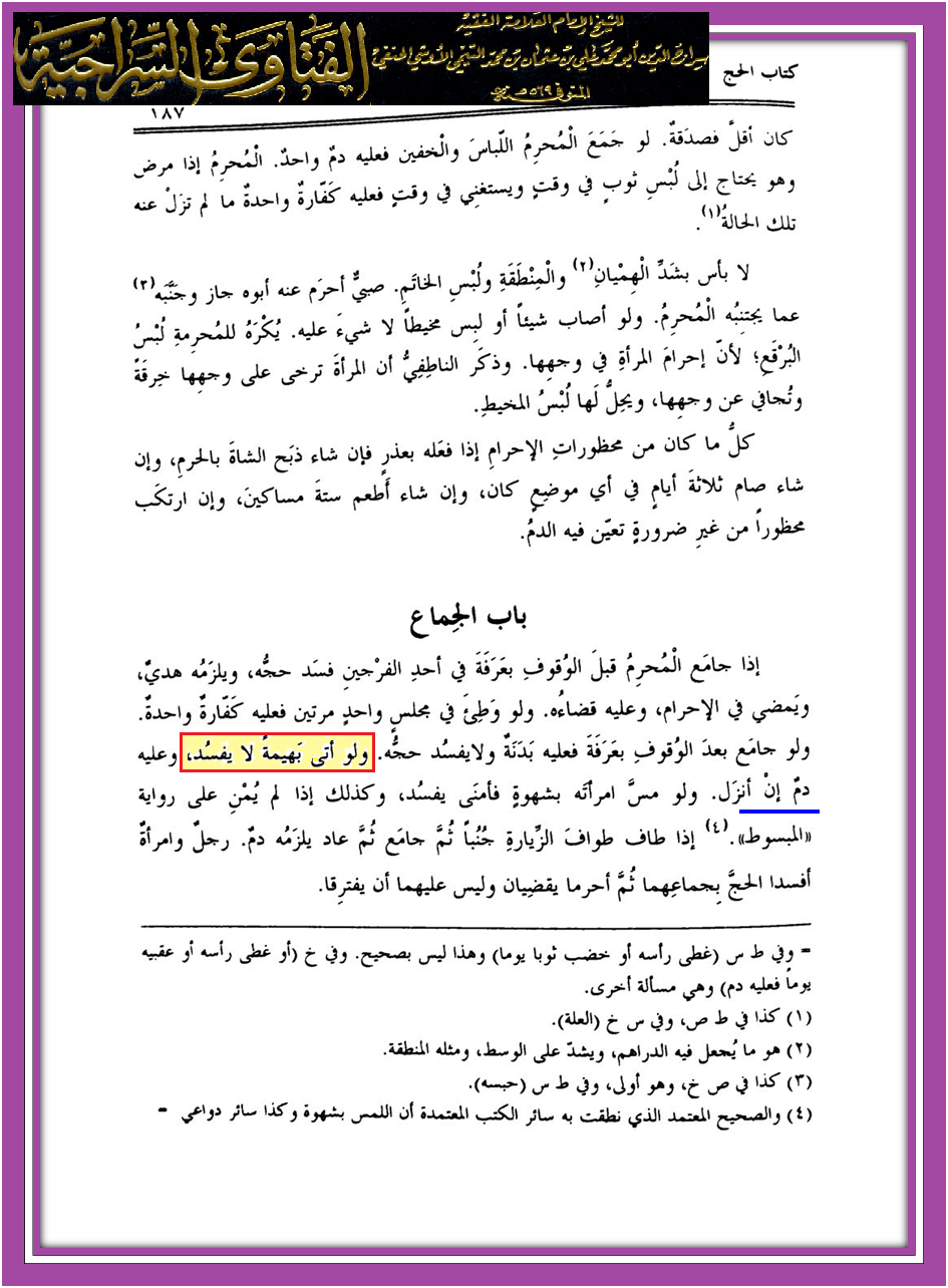 مدونة ابن النجف ابن النجف اللواط حسب السنة لا يبطل الحج ولا الصيام.
