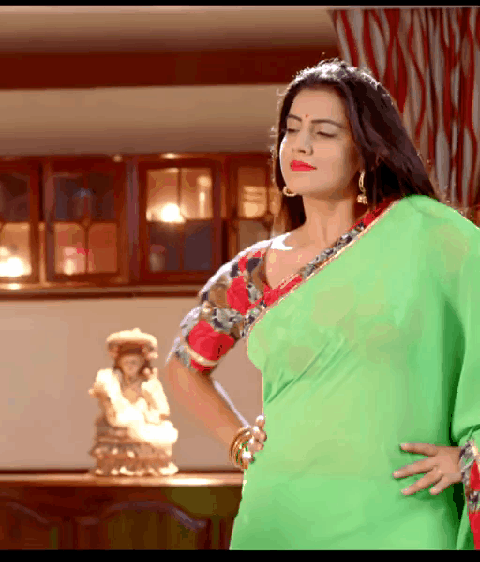 Bollytolly Actress Images And Images Akshara Singh Hot In Saree