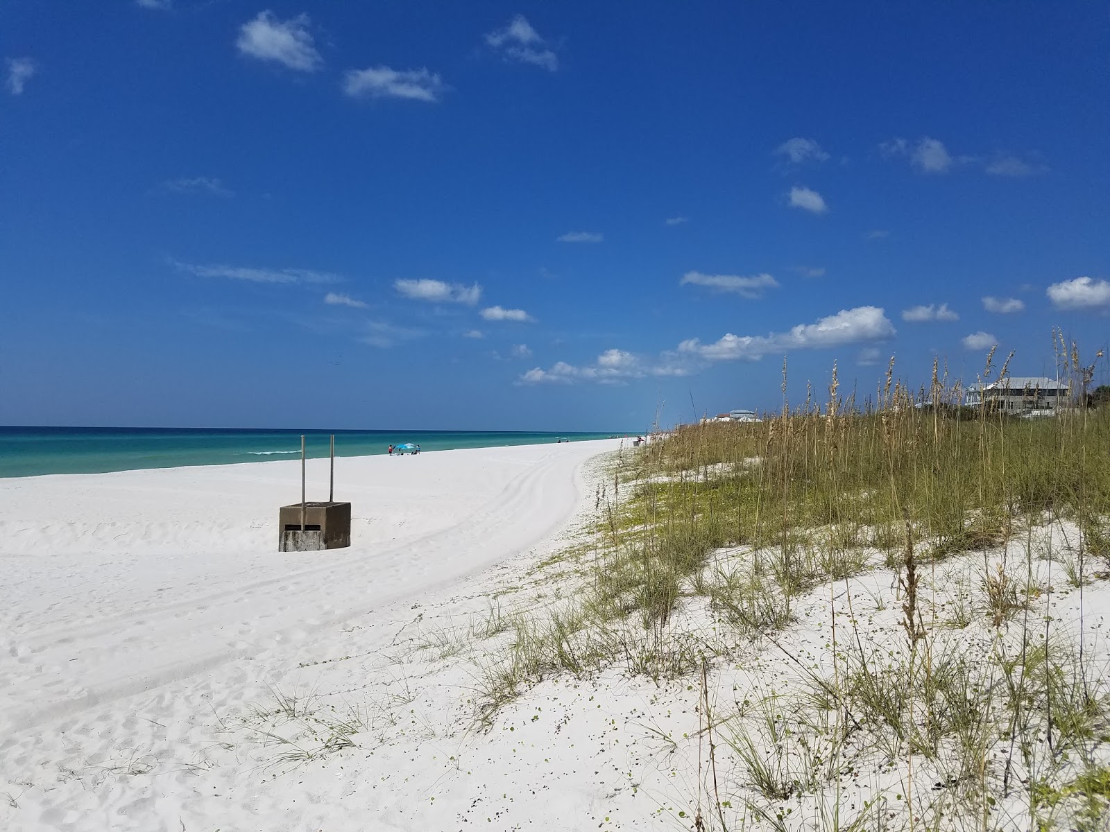 Tomfoolery Sunnyside (Panama City, FL)