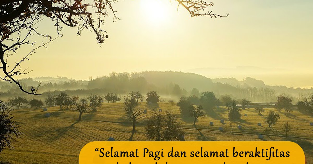13 Kata Kata Mutiara Motivasi Semangat Selamat Pagi | DrumDJ