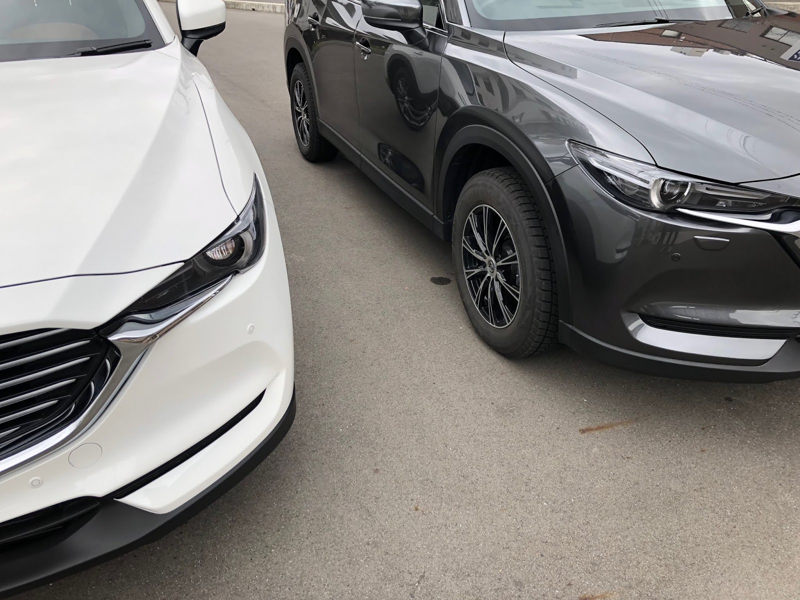 マシグレとスノーフレイクホワイトパールマイカ 汚れが目立たないのはどっち Cx 8のボディーカラーを並べて比較してみた イクメンライフハッカー