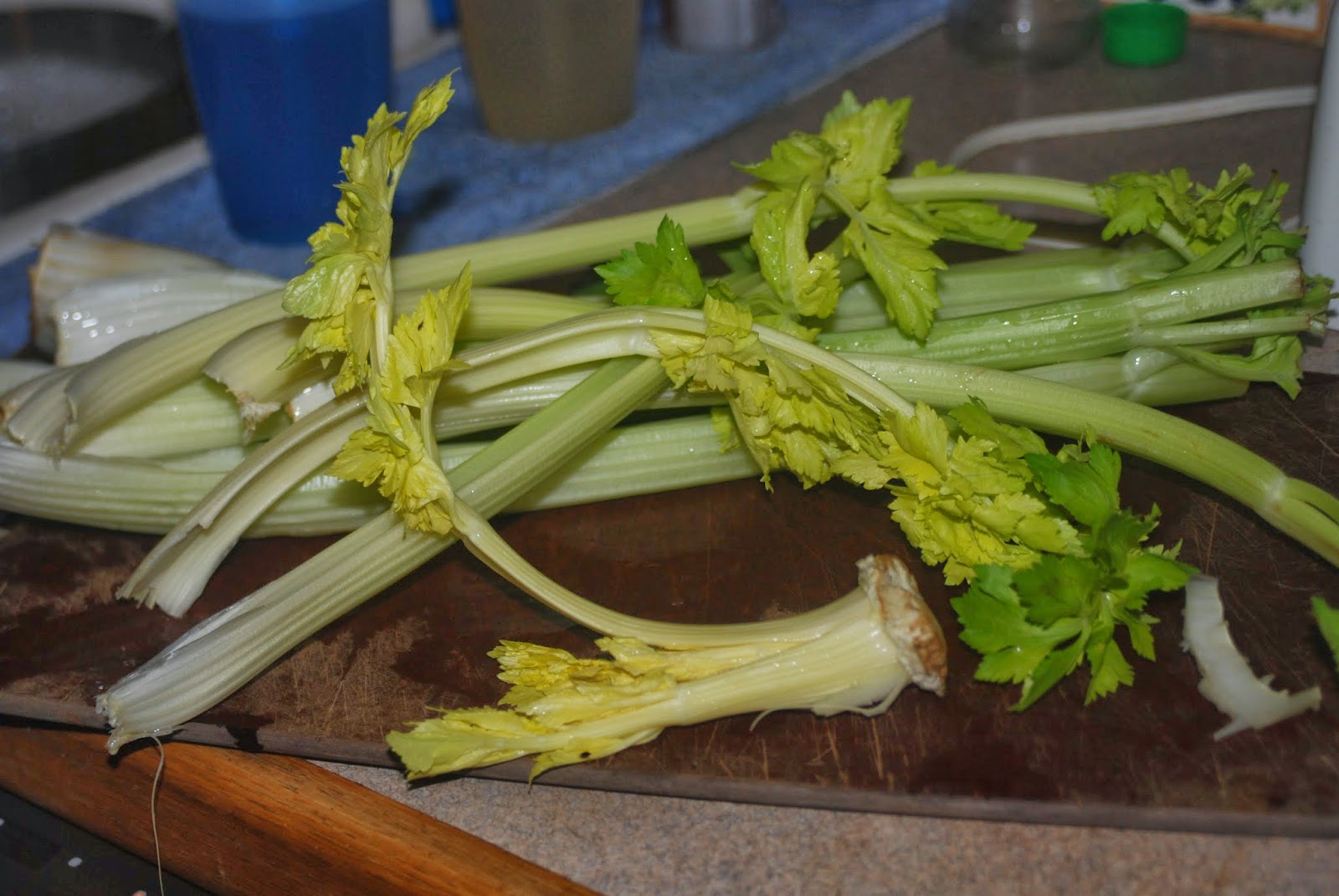 OrthoPractical in Mississippi OW Cooks How to Butcher a Bunch of Celery