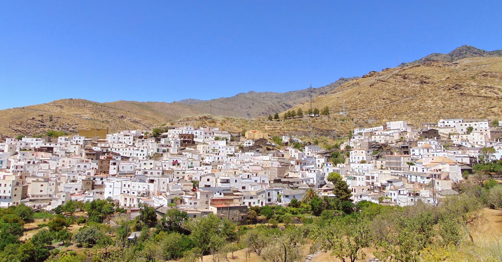 Foto de SSS de Velefique en Velefique, Almería