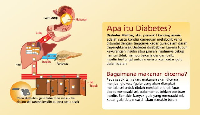 Pustaka Digital Indonesia: Tahukah Anda : Bukan Makanan 